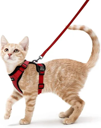 Vista 60 de rabbitgoo Cat Harness and Leash Set, Escape Proof Vest, Berry Pounce