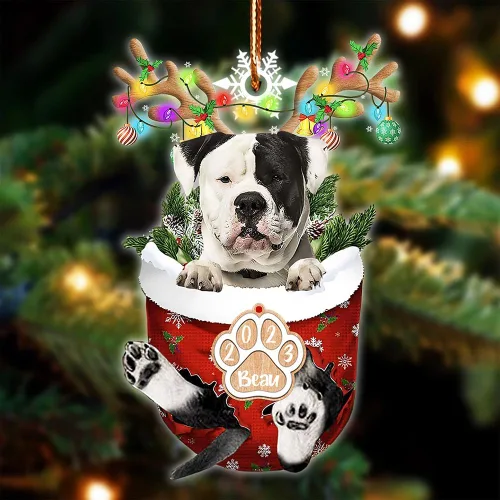 Vista 39 de NAZENTI Adorno Navideño de Bolsillo Personalizado de Affenpinscher en la Nieve, Adorno de Forma Acrílica de Perro, Adorno de Navidad 2023, Adorno