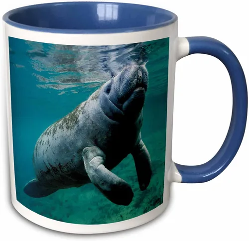Vista 10 de 3dRose, Taza negra bicolor de 11 oz, negro/blanco