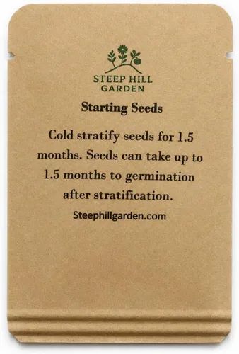 Vista 4 de New England Aster Seeds - Alrededor de 100 semillas