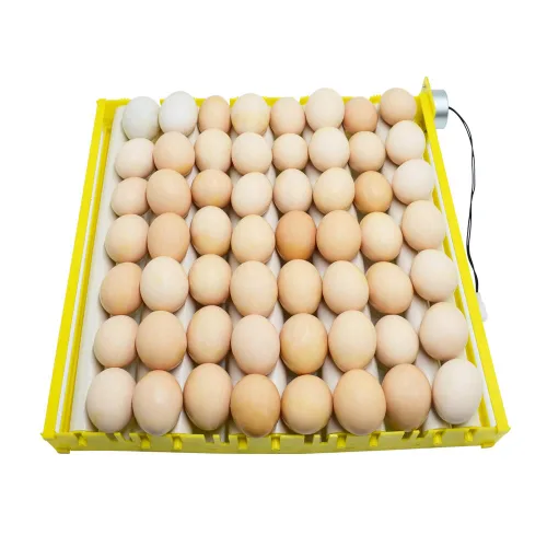 Vista 9 de HBtree - Bandeja de huevos para incubadora multifunción automática para pollos/patos/pájaros/aves de corral (13 tubos)