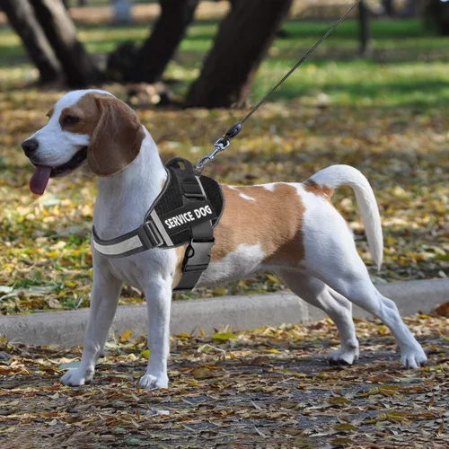 Vista 6 de JSXD - Arnés para perro, sin tirones, con asa ajustable, para exteriores, chaleco de nailon reflectante 3M, fácil control del perro, para razas Negro