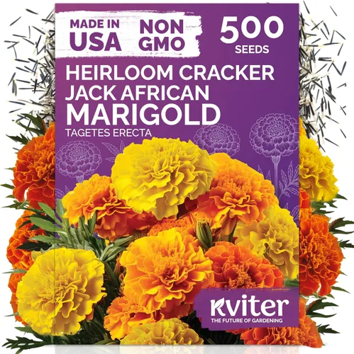 Vista 153 de 500 Ball's Orange Calendula Heirloom Flower Seeds, Calendula Officinalis