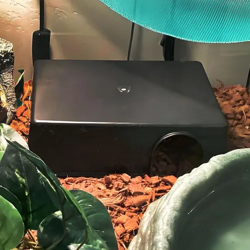 Vista 6 de Hamiledyi Caja de piel de reptil, 4 piezas, leopardo, piel de gecko, escondite de reptil, escondite de cueva, bola de pitón, accesorios