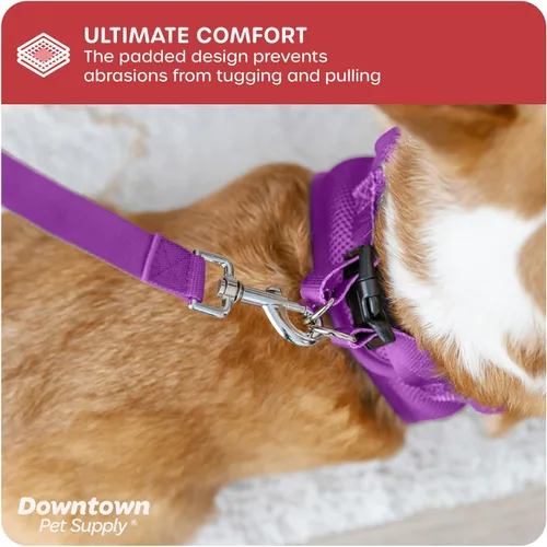 Vista 176 de Downtown Pet Supply Arnés para perro Step-in – Sin tirones, malla acolchada ajustable con ribete reflectante, correa de hebilla segura – Arnés