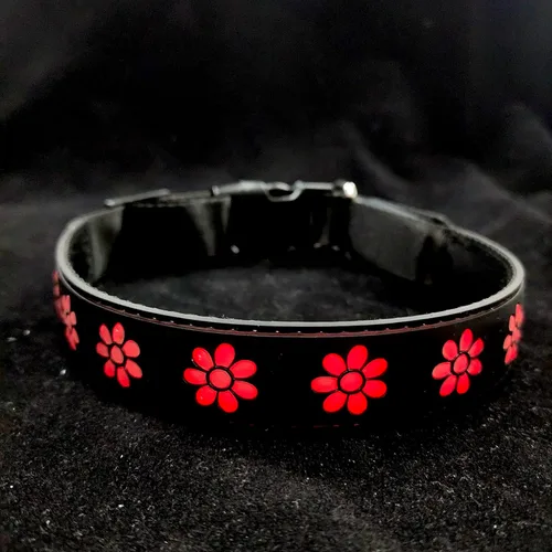 Vista 8 de Collar de perro con luz LED USB-C, diseño 3D, material cómodo y suave, iluminación multicolor, collar de perro nocturno (PW-verde, XS