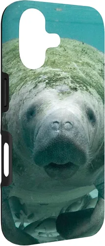 Vista 3 de Manatee Case for iPhone 17