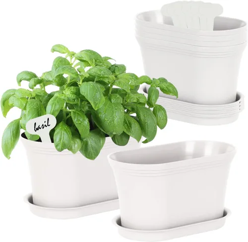 Vista 8 de Oliz 6pk Windowsill Planters, Grey Plastic w/Drain Tray - Indoor/Outdoor Gris