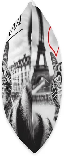 Vista 2 de Funny Paris Shop France Paris - Cojín de la Torre Eiffel, 16 x 16, multicolor