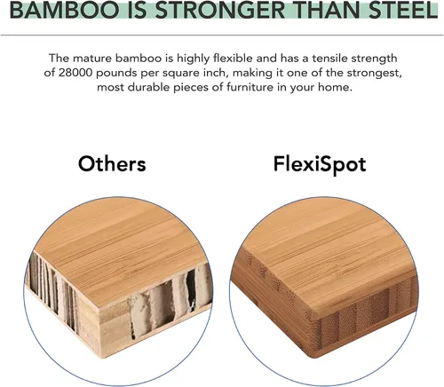 Vista 7 de FlexiSpot E6 Bamboo - Escritorio eléctrico de pie de 3 etapas con motor dual de 48 x 24 pulgadas, soporta 220 libras, altura ajustable con ajustes