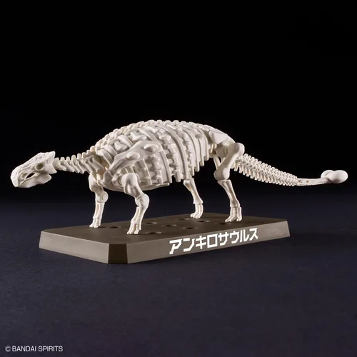 Vista 8 de Bandai Hobby - Plannosaurus - Kit de modelo de dinosaurio anquilosaurio #06