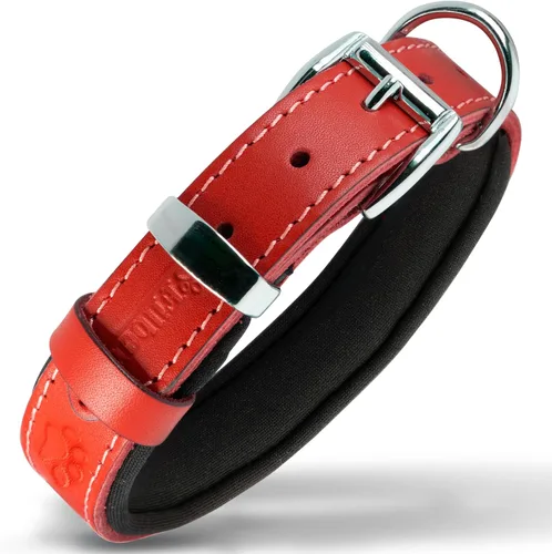Vista 10 de Filbert Collar de cuero para perro, collar de cuero genuino para perros pequeños, estampado de patas en relieve con hebilla, grano completo curtido