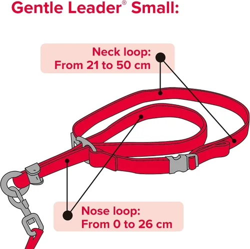 Vista 7 de Beaphar Gentle Leader Collar de cabeza para perros pequeños Deja de tirar de la correa Ayuda de entrenamiento con efecto inmediato Avalado