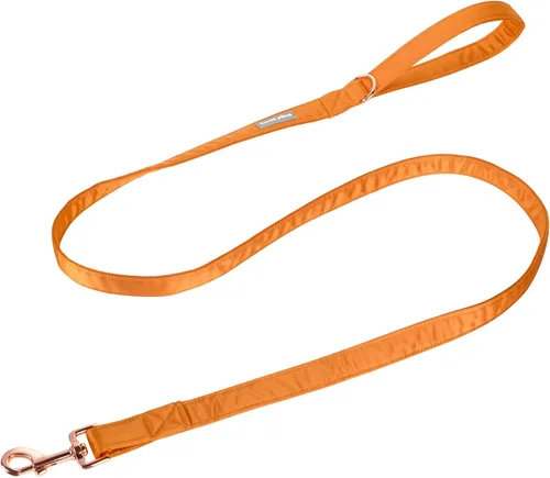Vista 10 de Lionet Paws Lindo soporte para bolsas de excrementos de perro con bolsa para correa, dispensador de seda para perros, collar a juego Azul