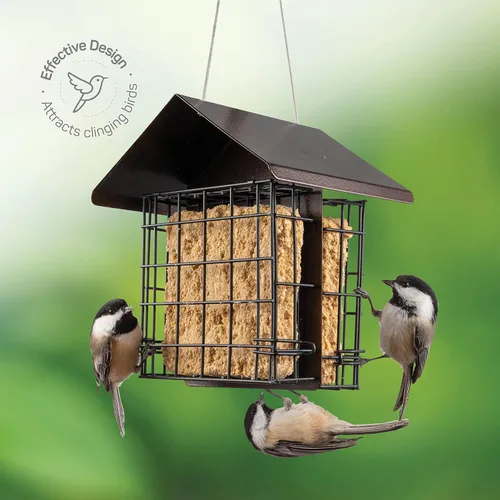 Vista 3 de Comedero para pájaros de sebo para exteriores [doble capacidad] Comedero para pájaros silvestres con techo de metal colgante, comedero de sebo