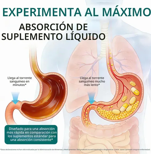 Vista 5 de Gotas de drenaje linfático Suplemento de apoyo del sistema linfático 21 en 1 Limpieza linfática con cúrcuma, equinácea, saúco y diente de león