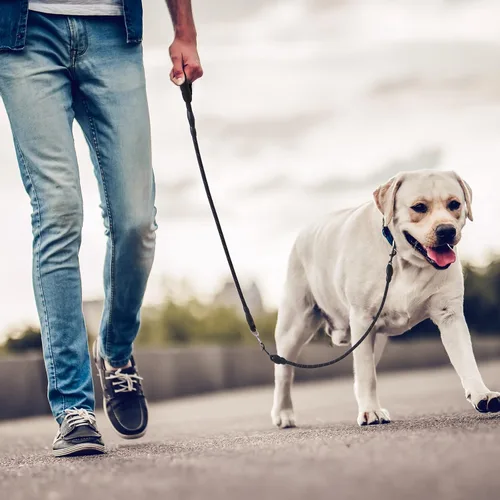 Vista 8 de Correa para perro de 3 vías, correa de perro de 57 pulgadas desmontable giratoria 360 sin enredos con mango acolchado suave para perros Negro de 3