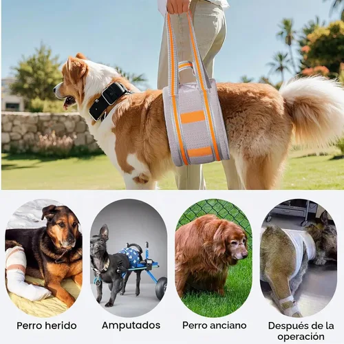 Vista 7 de Arnés portátil de elevación para perros, cabestrillo para perros medianos, soporte de pierna trasera, refuerzo contra amontonamiento, adecuado