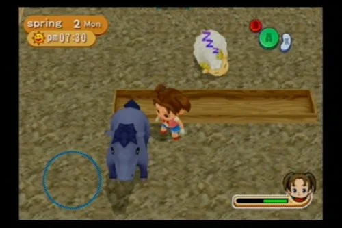 Vista 10 de Harvest Moon Magical Melody - Gamecube