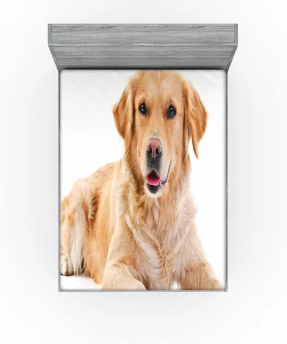 Vista 2 de Ambesonne Golden Retriever 2 Pack Fitted Sheet, Young Puppy, Bed Cover All-Round Elastic Deep Pockets 2 Pieces, Package Contains 2 Full Size Fitted