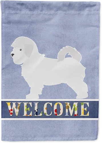Vista 163 de Caroline's Treasures BB5552GF Affenpinscher Bandera de bienvenida para jardín, bandera decorativa para patio exterior, patio, parterres