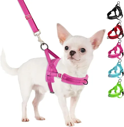 Vista 14 de SlowTon - Juego de arnés y correa para perros pequeños sin tirones, chaleco suave ajustable para cachorros para el cuello y el pecho, arnés