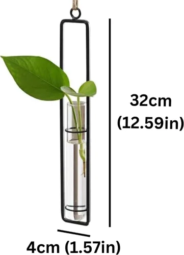 Vista 2 de Maceta de vidrio colgante – Tubo de ensayo de propagación de plantas hidropónicas para colgar en la pared, terrarios de vidrio transparente