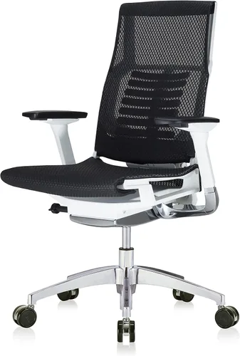 Vista 9 de POwerFIT Exec Silla Negro MESH ASIENTO Y Respaldo-Marco Blanco