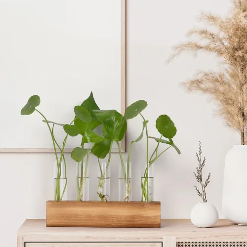 Vista 4 de Estaciones de propagación YIBOT, terrario de plantas con soporte de madera, regalos de jardinería de cumpleaños para mujeres, madres amantes