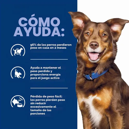 Vista 8 de Hill's Prescription Diet Comida seca para perros con control