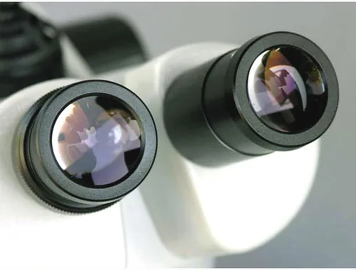 Vista 5 de AmScope Microscopio estéreo trinocular SW-3T24, oculares WH10x, aumento 20X/40X, objetivo 2X/4X, soporte de brazo único