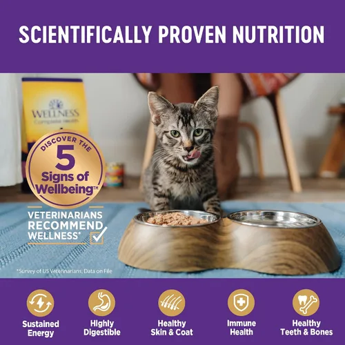 Vista 5 de Comida para gatos enlatada Wellness, comida húmeda, Púrpura