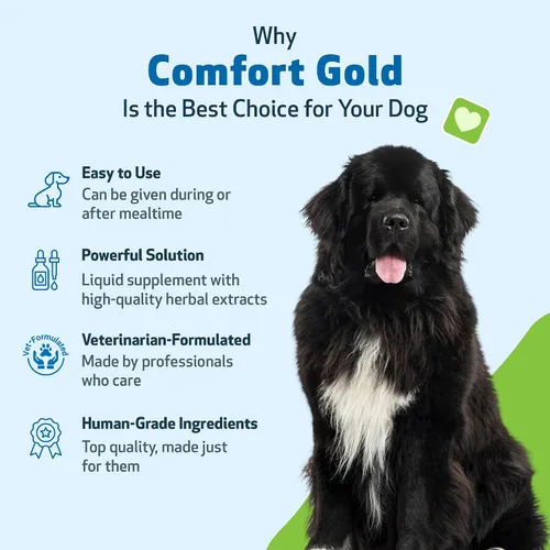 Vista 5 de Pet Wellbeing Comfort Gold para perros – Apoya la comodidad física canina, la circulación saludable, corydalis, cúrcuma – Suplemento herbario