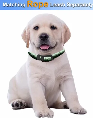 Vista 3 de Collar de perro, lindo collar de perro para perros pequeños, medianos y grandes, collares suaves personalizados ajustables para mascotas con hebilla