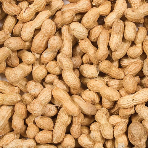 Vista 2 de Wild Delight Inshell Peanuts, 5 libras y Wagner's 62004 Eastern Regional - Alimento para aves silvestres, bolsa de 20 libras