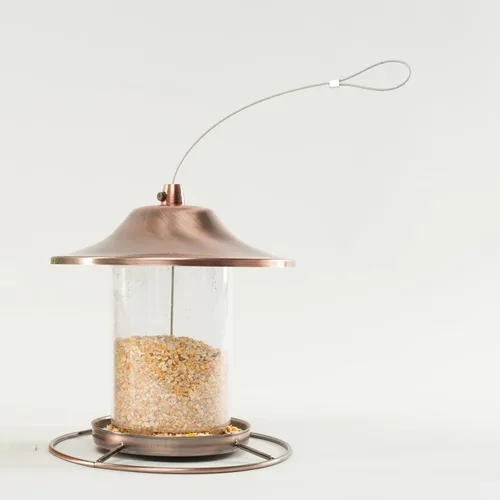 Vista 5 de Wagner's 18542 Cracked Corn - Alimento para aves silvestres, bolsa de 10 libras