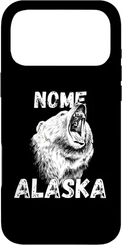 Vista 22 de Retro Nome AK Alaska City Apparel Souvenir Case for iPhone 17