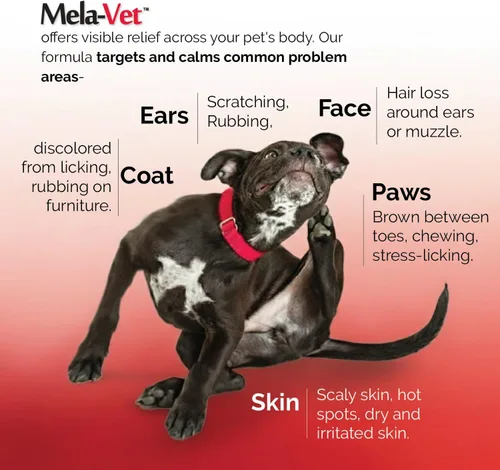 Vista 12 de Melatonina Calmante Masticables suaves para perros, formulados por veterinarios para proporcionar relajación y alivio de la ansiedad, ayuda a