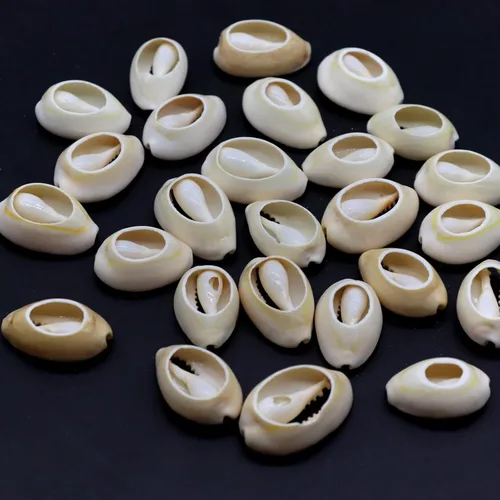Vista 2 de 100 cuentas de concha de cauri naturales fuertes blancas de 0.63 a 0.71 pulgadas, conchas marinas ovaladas de corte liso, conchas marinas de playa