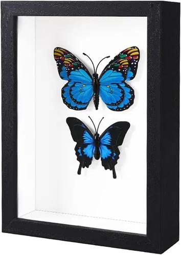 Vista 9 de KAPIX Pequeño marco de sombra 4x6 con plexiglás HD, caja de exhibición de madera profunda para flores, entradas, recuerdos, medallas, arte y fotos