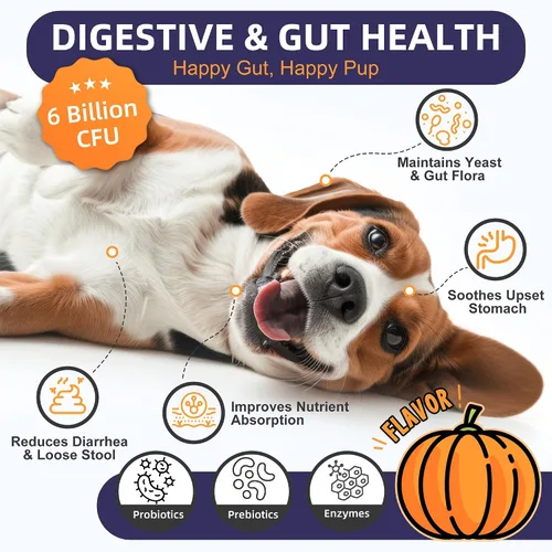 Vista 3 de NATURE TARGET Probióticos para perros, 6 mil millones de probióticos para perros con prebióticos y enzimas para la salud digestiva e intestinal