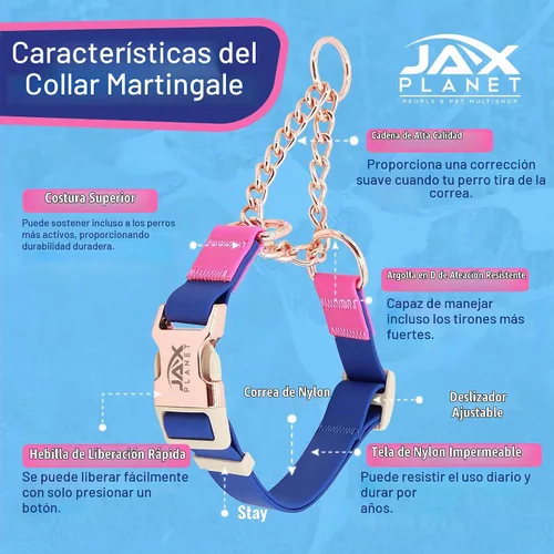Vista 2 de Jelly - Collar para perro martingala impermeable, collar de nailon sin tirones con hebilla de metal de aleación y anillo en D para entrenamiento