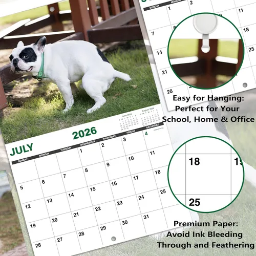 Vista 4 de Gag Gifts - Calendario 2021, calendario de pared, perros haciendo popo, para regalos de broma, enero a diciembre del 2021, 28 x 43.18 cm