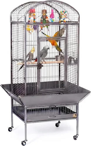 Vista 3 de Prevue Pet Products 34521 Dometop - Jaula para pájaros, grande, color negro para loros, conures, caiques, cacatúas pequeñas, jaula para pájaros