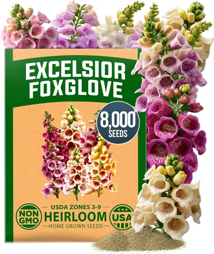 Vista 83 de HOME GROWN Bachelor Button Tall Mix 700+ Semillas de flores Centaurea