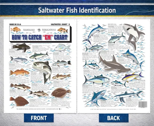 Vista 2 de Tabla de identificación de peces de agua salada #2 – Guía de pesca de referencia rápida impermeable – Identificación de especies + métodos de pesca