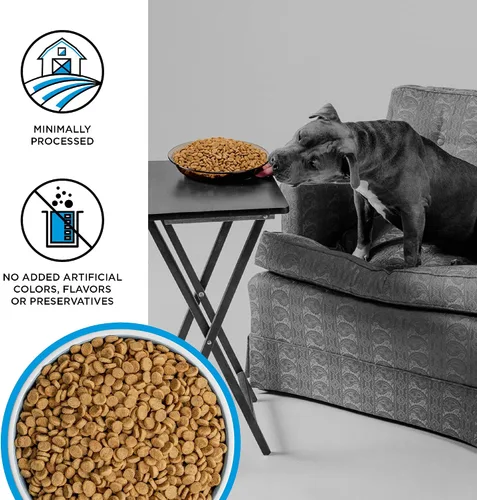 Vista 3 de BIXBI Liberty - Alimento seco para perros sin granos, receta de pesca pescador – pescado fresco, alto en proteínas, sin comidas de carne – Hecho