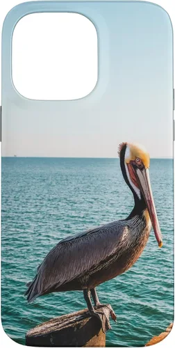 Vista 20 de iPhone 11 Pelican Case