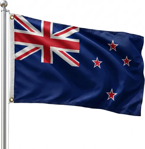 Vista 135 de DMSE - Bandera nacional beninesa beninesa de la República de África Occidental, 2 x 3 pies, 100 % poliéster, 100 % poliéster, resistente a los rayos