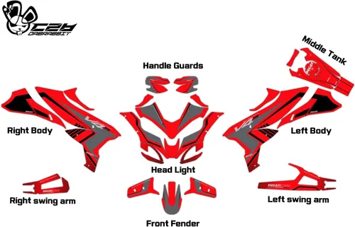 Vista 2 de Nuevo Kit gráfico para DUCATI Multistrada V4 S Kit gráfico completo (RL-R) (GLOSSY)